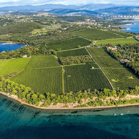 Апартаменты Luna Quiet Retreat, Close To Koper, Aircon, Parking Анкаран