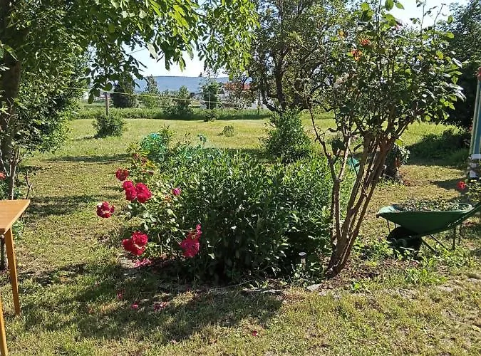 Luna Quiet Retreat, Close To Koper, Aircon, Parking *