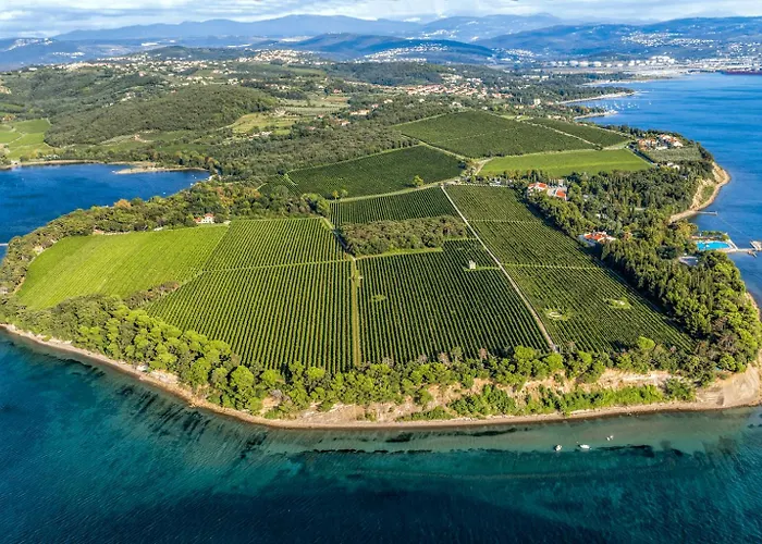 شقة Luna Quiet Retreat, Close To Koper, Aircon, Parking أنكاران